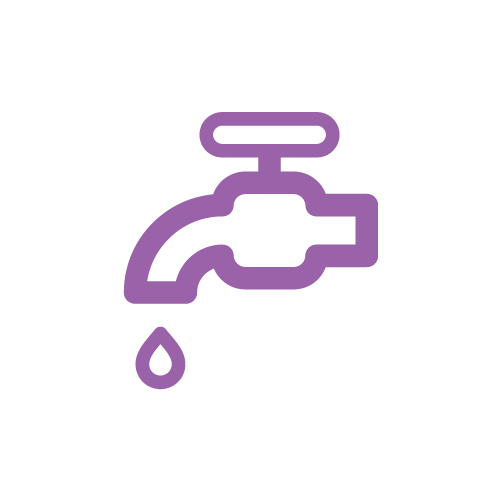 Sal Gourmet Icon morado