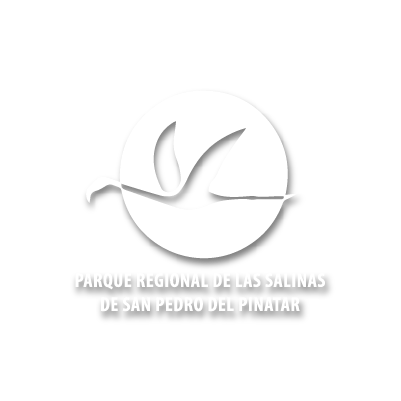 Salinera Española logo blanco con sombra